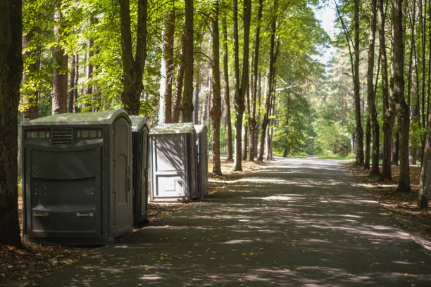 Portable Toilet Options We Offer in Coal Valley, IL